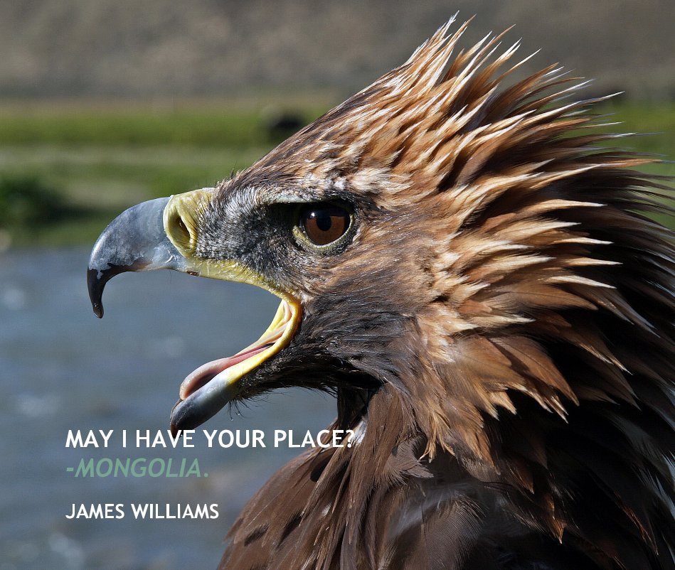 MAY I HAVE YOUR PLACE? -MONGOLIA. nach JAMES WILLIAMS anzeigen