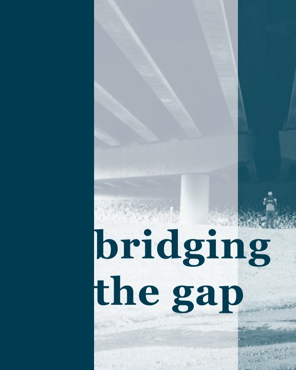 View Bridging the Gap by Erik Mathew Tingle
