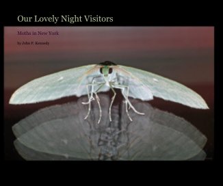 Our Lovely Night Visitors book cover