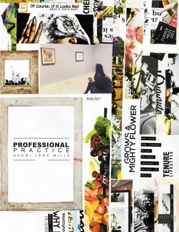 Visualizza Professional Practice di Naomi Lena Mills