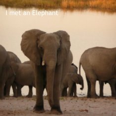 I met an Elephant book cover