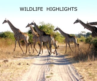 WILDLIFE HIGHLIGHTS book cover