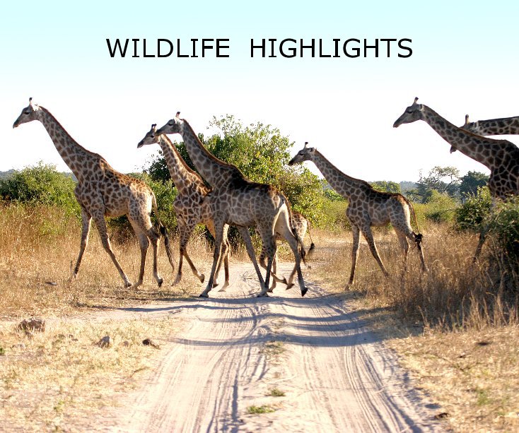 View WILDLIFE HIGHLIGHTS by Bill Wastell ARPS