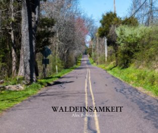WALDEINSAMKEIT book cover