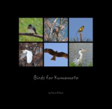 Birds for Kumamoto book cover