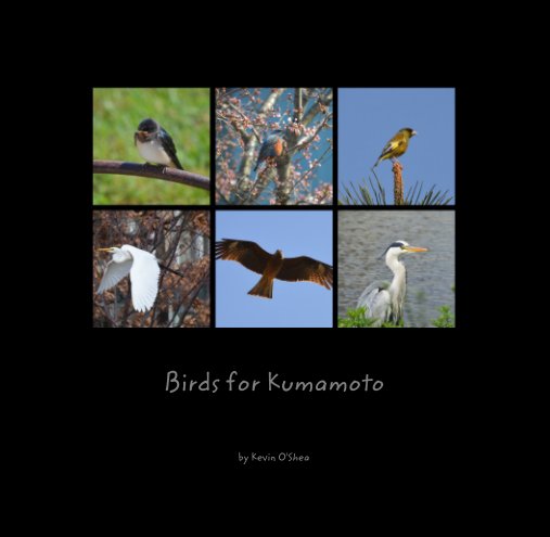 View Birds for Kumamoto by Kevin O'Shea