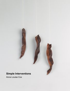 Simple Interventions book cover