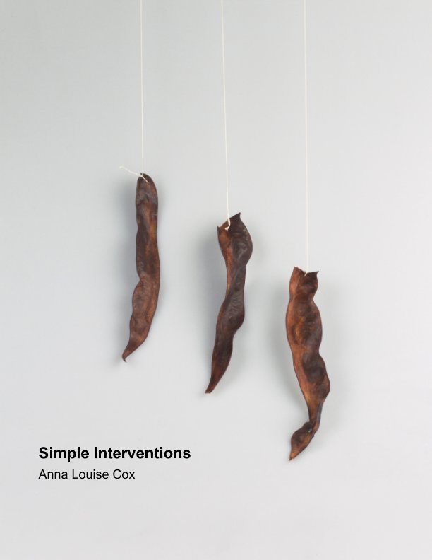 View Simple Interventions by Anna Louise Cox