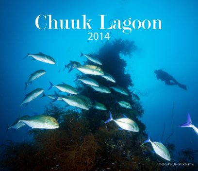 Chuuk 2014 book cover