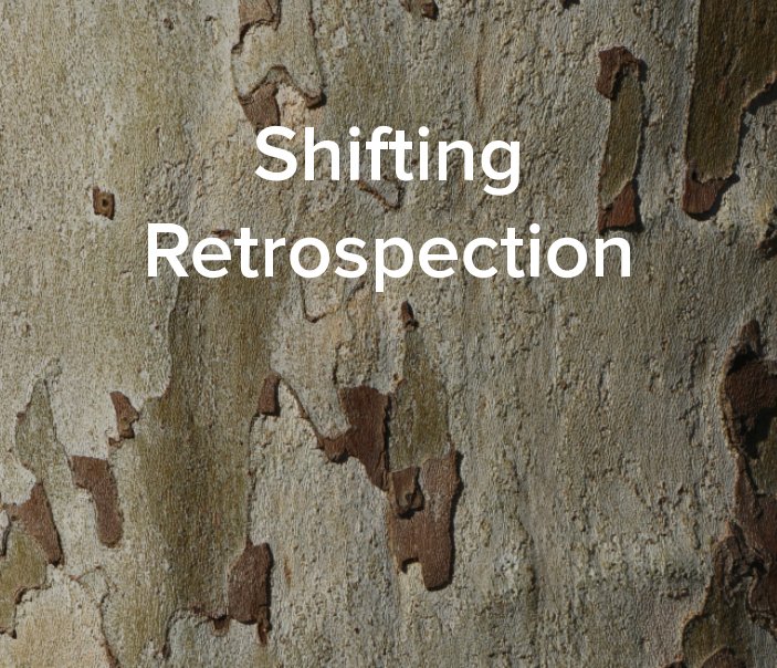 View Shifting Retrospection by Alexis Primavera