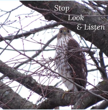 Stop Look & Listen book cover