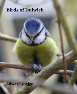 Birds of Dulwich book cover