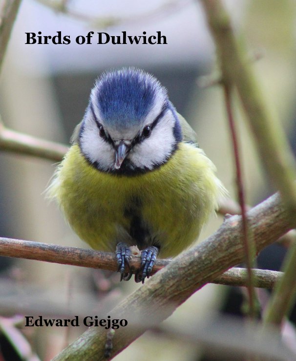 View Birds of Dulwich by Edward Giejgo