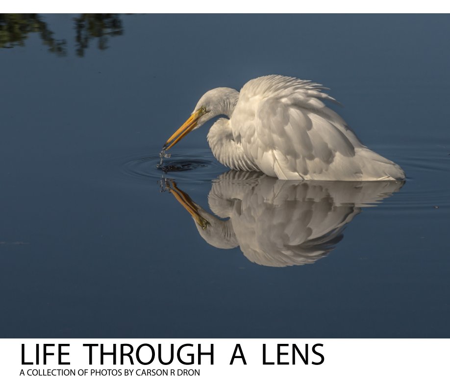 View Life Through a Lens by Carson R Dron