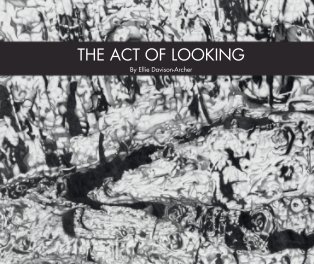 The Act of Looking book cover