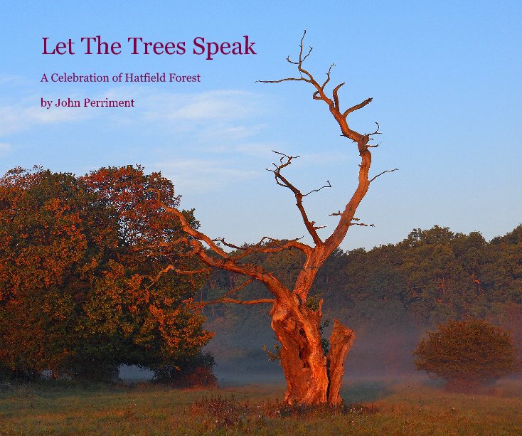 Bekijk Let The Trees Speak op John Perriment