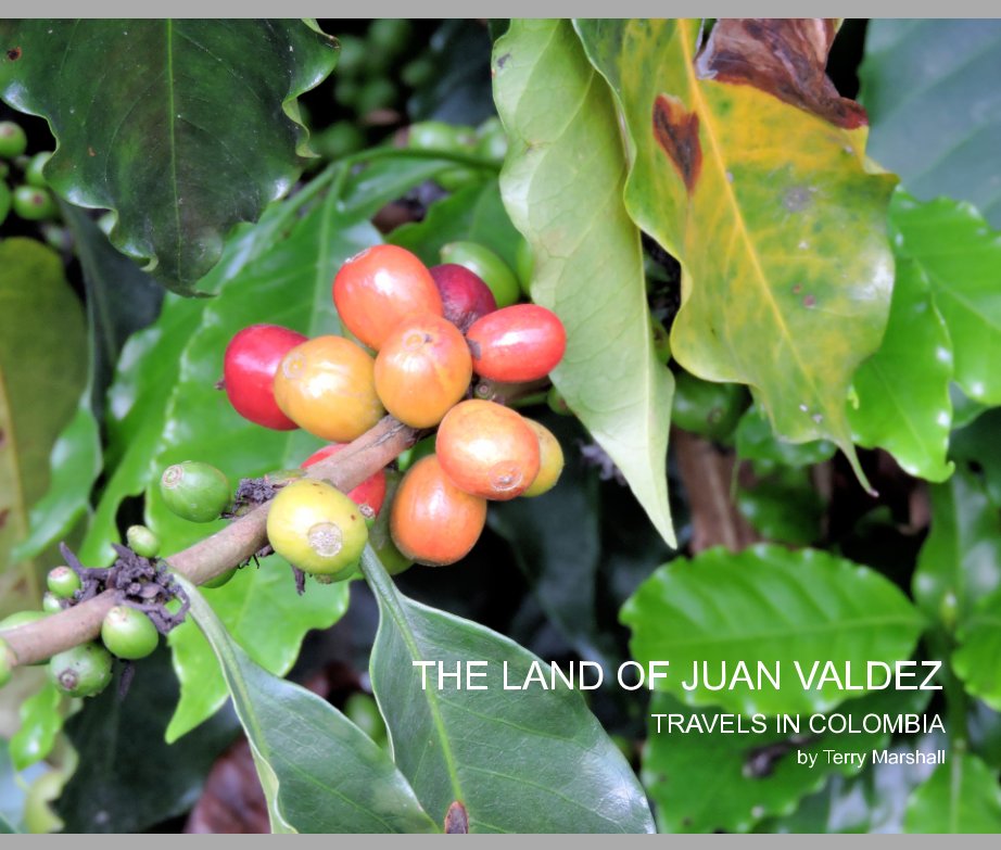 View THE LAND OF JUAN VALDEZ by Terry Marshall