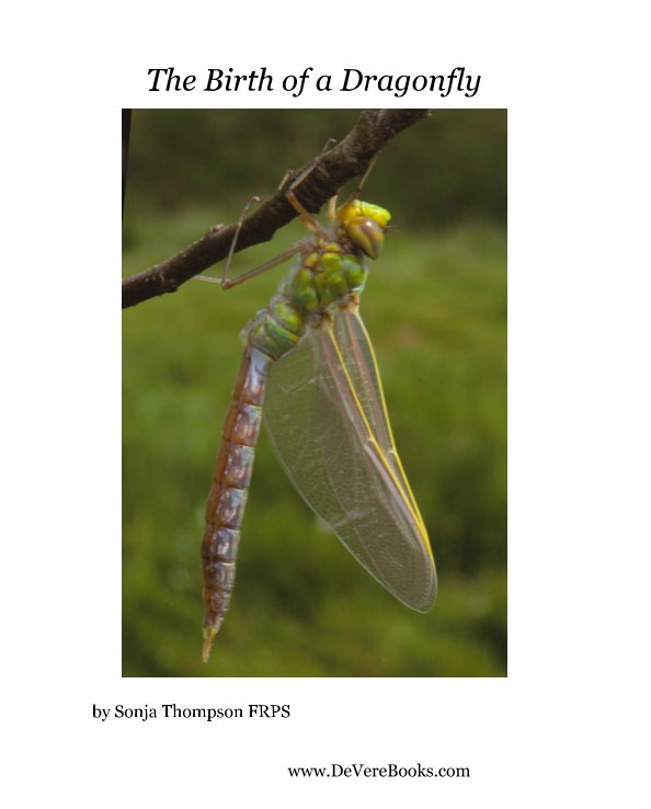 Bekijk The Birth Of an Emperor Dragonfly op Sonja Thompson FRPS