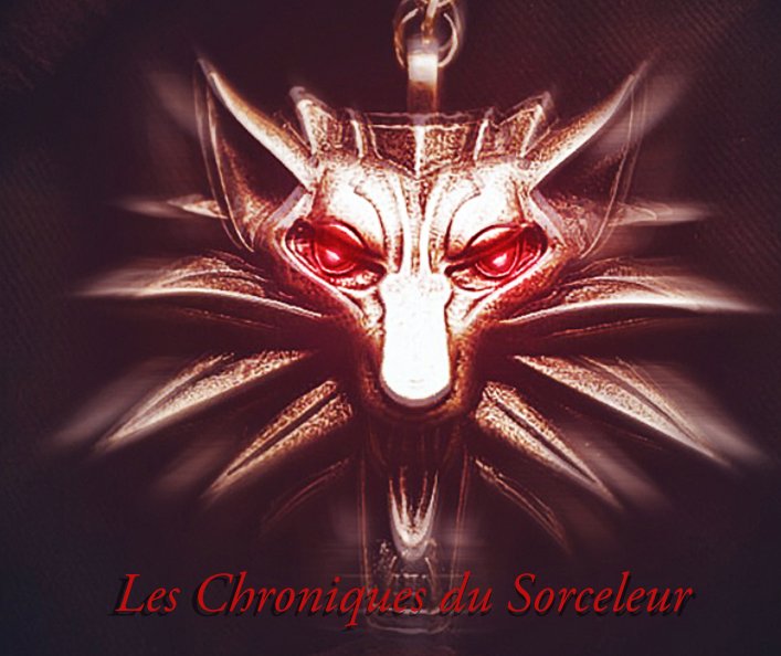 Ver Les Chroniques du Sorceleur por Léo Vedrenne