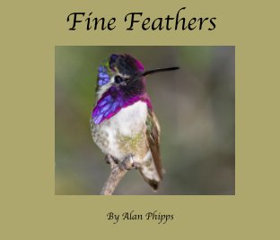 Fine Feathers book cover