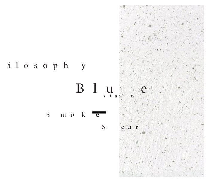 View Blue Stain and Smoke Scar by Claire Huang