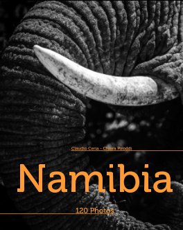 120 Photos of Namibia book cover