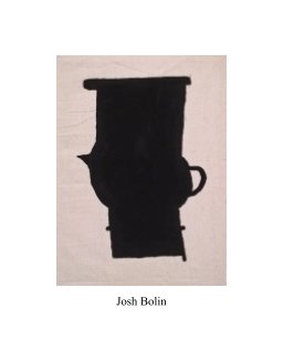 Josh Bolin book cover