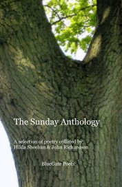 The Sunday Anthology book cover