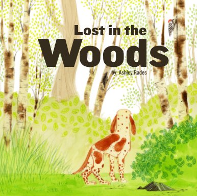Lost in the Woods book cover