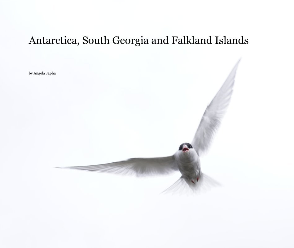 View Antarctica, South Georgia and Falkland Islands by Angela Japha