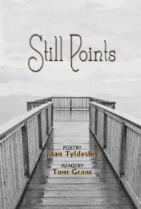 Still Points book cover