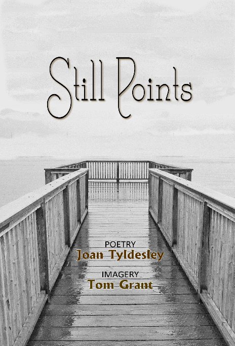 Visualizza Still Points di Joan Tyldesley and Tom Grant