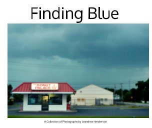 Finding Blue book cover