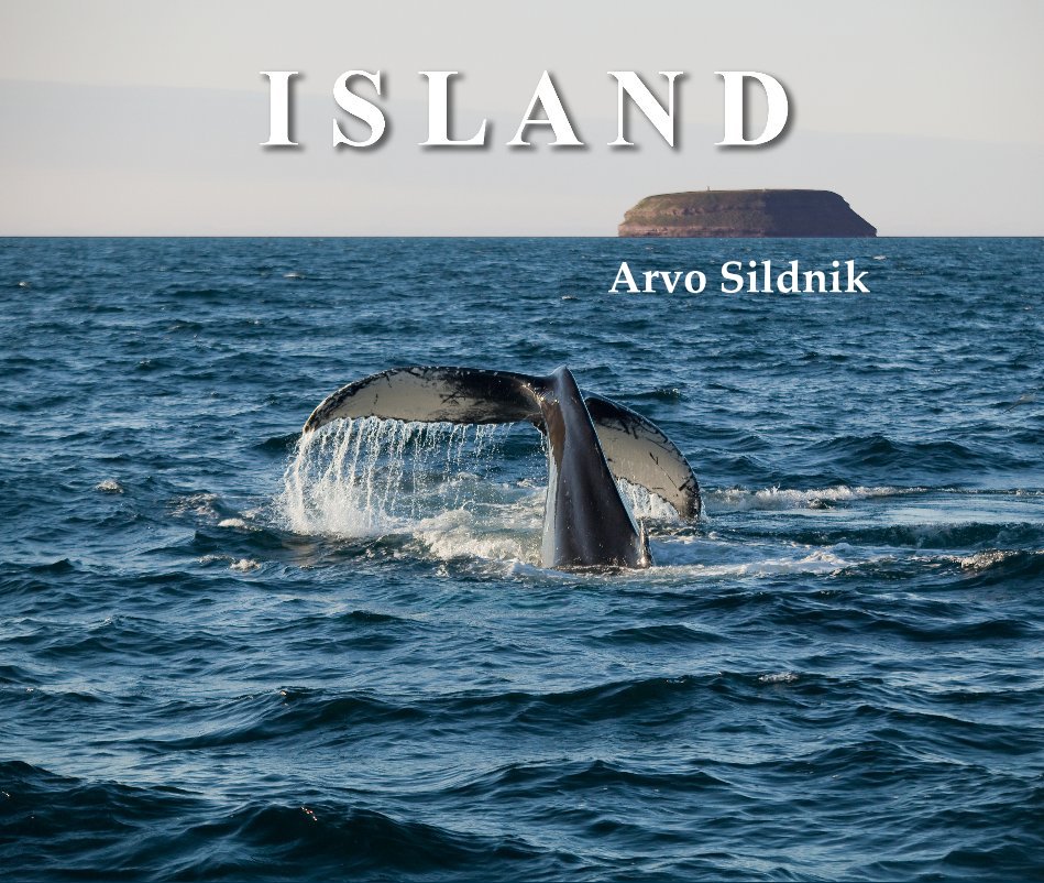 View Island (Iceland) Arvo Sildnik by Arvo Sildnik