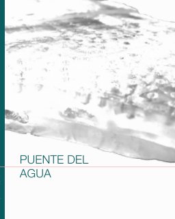 Puente del Agua book cover