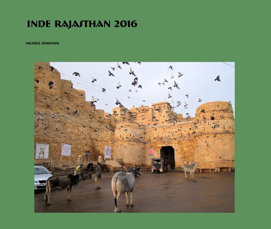 Bekijk Inde Rajasthan 2016 op Michèle SIMONNIN