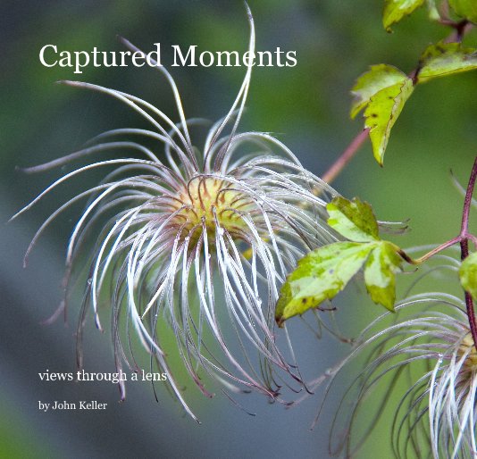 View Captured Moments by John Keller