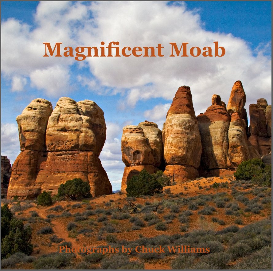 View Magnificent Moab by Photographs by Chuck Williams
