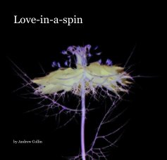 Love-in-a-spin book cover