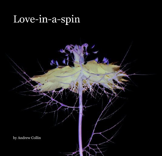 View Love-in-a-spin by Andrew Collin