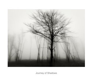 Journey of Shadows book cover