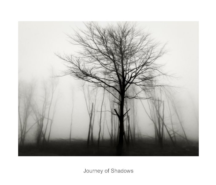Bekijk Journey of Shadows op Andrew Johnson