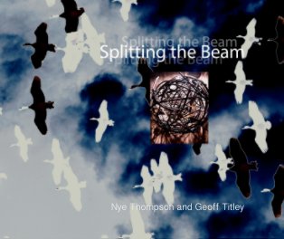Splitting the Beam book cover