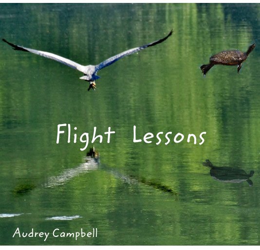 Bekijk Flight Lessons op Audrey Campbell