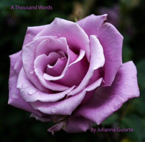 View A Thousand Words by Julianna Gularte