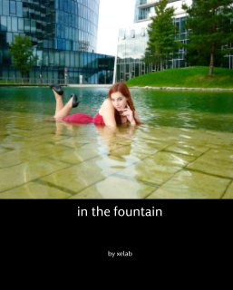 in the fountain book cover