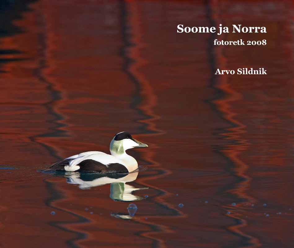 Ver Soome ja Norra (Finland and Norway) por Arvo Sildnik