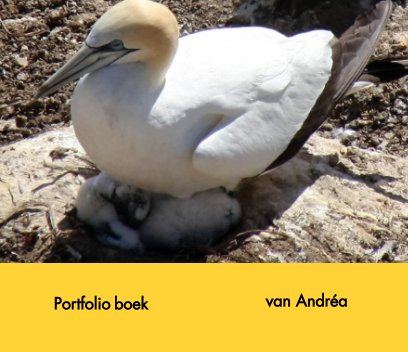 portfolio boek 2015 book cover