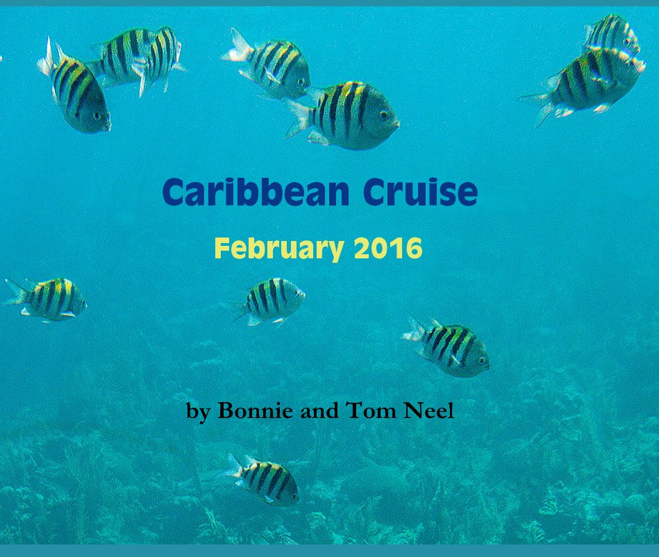 View Caribbean Cruise by Bonnie and Tom Neel