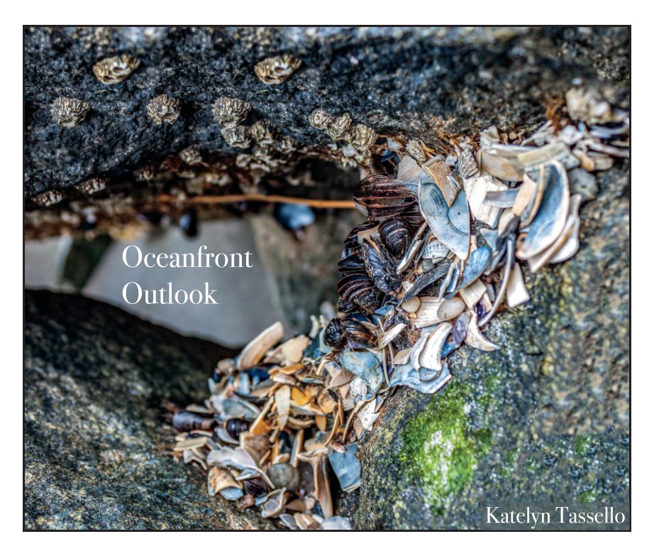 Ver Oceanfront Outlook por Katelyn Tassello